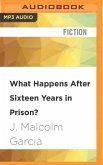 What Happens After Sixteen Years in Prison?