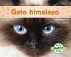 Gato Himalayo (Himalayan Cats)