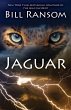 Jaguar - Bild 1