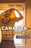 Canaries in Guerrero: A Millennials Guide to the Mission Galaxy Volume 1