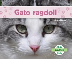 Cover Gato Ragdoll (Ragdoll Cats)