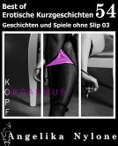 Erotische Kurzgeschichten - Best of 54 (eBook, ePUB)