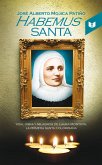 Habemus santa (eBook, ePUB)