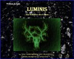Luminis-Das Schwert des Lichts (eBook, ePUB)
