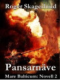 Pansarnäve (eBook, ePUB)