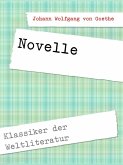 Novelle (eBook, ePUB)