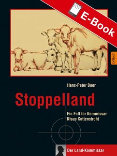 Stoppelland (eBook, ePUB) - Boer, Hans-Peter