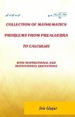 Collection of Mathematics Problems From Prealgebra To Calculus: With Inspirational and Motivational Quotations