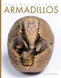 Armadillos - Bild 1