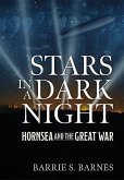 Stars in a Dark Night: Hornsea and the Great War