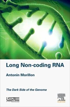 Long Non-coding RNA - Morillon, Antonin