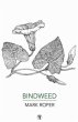 Bindweed - Bild 1