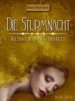 Die Sturmnacht (eBook, ePUB)