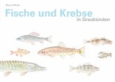 Fische und Krebse in Graubünden