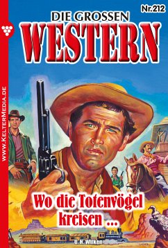 Wo die Totenvögel kreisen ... (eBook, ePUB) - Wilken, U.H.