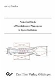 Numerical Study of Nonstationary Phenomena in Gyro-Oscillators (eBook, PDF)