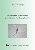 Identifikation von Virulenzgenen des gerstepathogenen Pilzen Pyrenophora teres (eBook, PDF)