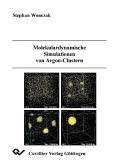 Molekulardynamische Simulationen von Argon-Clustern (eBook, PDF)