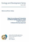 Water Accounting and Productivity at Different Spatial Scales in a Rice Irrigation System: A Remote Sensing Approach (eBook, PDF)