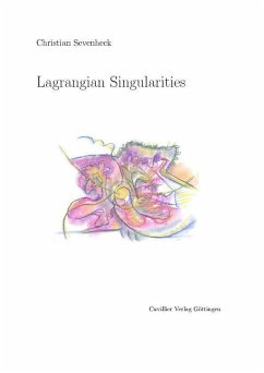 Lagrange-Singularitäten (eBook, PDF)