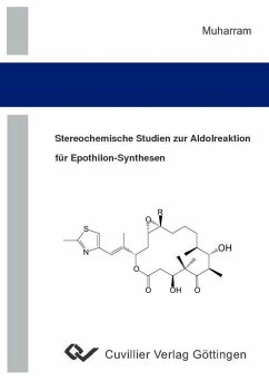 Stereochemische Studien zur Aldolreaktion für Epothilon-Synthesen (eBook, PDF)