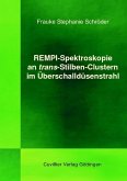 REMPI-Spektroskopie an trans-Stilben-Clustern im Überschalldüsenstrahl (eBook, PDF)