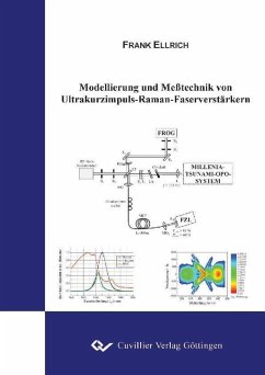Cover Modellierung und Meßtechnik von Ultrakurzimpuls-Raman-Faserverstärkern (eBook, PDF)