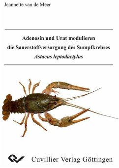 Cover Adenosin und Urat modulieren die Sauerstoffversorgung des Sumpfkrebses Astacus leptodactylus (eBook, PDF)