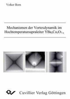 Cover Mechanismen der Vortexdynamik im Hochtemperatursupraleiter YBa2Cu3O7-X (eBook, PDF)