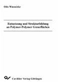 Entnetzung und Strukturbildung an Polymer-Polymer Grenzflächen (eBook, PDF)