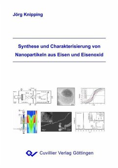 Synthese und Charakterisierung von Nanopartikeln aus Eisen und Eisenoxid (eBook, PDF)