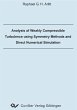 Analysis of Weakly Compressible... - Bild 1