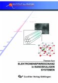 Elektronenspinresonanz in nanoskaligen Systemen (eBook, PDF)
