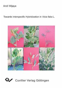 Towards Interspecific Hybridization in Vicia faba L. (eBook, PDF)