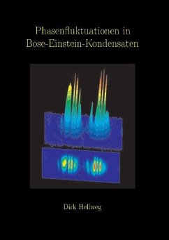 Cover Phasenfluktuationen in Bose-Einstein-Kondensaten (eBook, PDF)