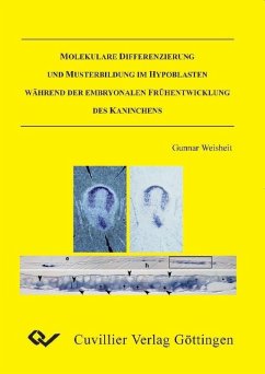 Cover Molekulare Differenzierung und Musterbildung im Hypoblasten während der embryonalen Frühentwicklung des Kaninchens (eBook, PDF)