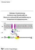 Molekulare Charakterisierung des linearen mega-Plasmides pBD2 aus Rhodococcus erythropolis BD2 und Identifizierung von Komponenten des Konjugationssystems (eBook, PDF)
