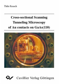 Cover Cross-sectional Scanning Tunneling Microscopy of Au contacts on GaAs(110) (eBook, PDF)