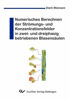 Cover Numerisches Berechnen der Strömungs- und Konzentrationsfelder in zwei- und dreiphasig betriebenen Blasensäulen (eBook, PDF)