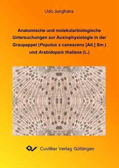 Anatomische und molekularebiologische Untersuchungen zur Auxinlphysiologie in der Graupappel (Populus x canescens Sm.) und Arabitopsis thaliana (L.) (eBook, PDF)