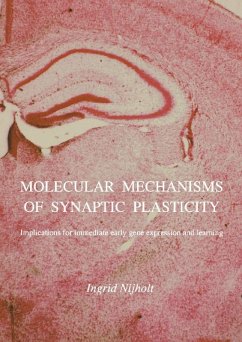 Molecular mechanisms of synaptic plasticity (eBook, PDF)