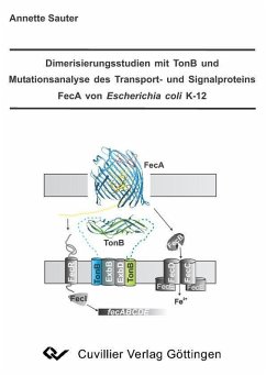 Dimerisierungsstudien mit TonB und Mutationsanalyse des Transport- und Signalproteins FecA von Escherichia coli K-12 (eBook, PDF)