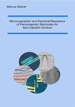 Micromagnetism and Electrical Resistance of Ferromagnetic Electrodes for Spin-Injection Devices (eBook, PDF)