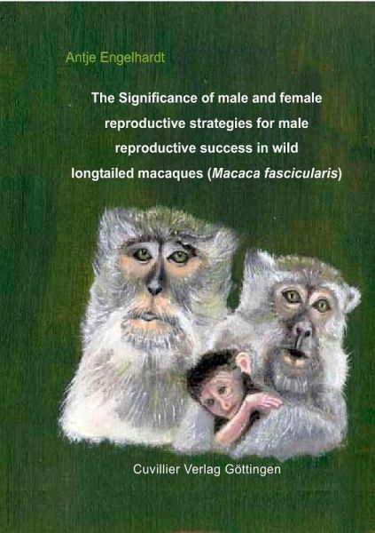 The significance of male and female reproductive strategies for male reproductive success in wild longtailed macaques (Macaca fascicularis) (eBook, PDF)