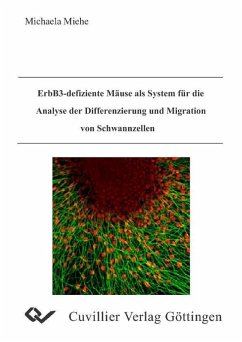 Cover ErbB3-defiziente Mäuse als System für die Analyse der Differenzierung und Migration von Schwannzellen (eBook, PDF)