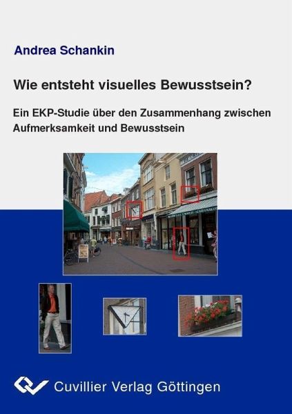 Wie entsteht visuelles Bewusstsein? (eBook, PDF)