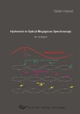 Hysteresis in Optical Megagauss Spectroscopy (eBook, PDF)