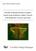 The Effect of Photoinactivation of Auditory Neurons on the Prothoracic Auditory Network in the Bushcricket Ancistrura nigrovittata (eBook, PDF)
