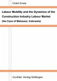 Labour Mobility and the Dynamics of the Construction Industry Labour Market (eBook, PDF)