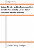 Labour Mobility and the Dynamics of the Construction Industry Labour Market (eBook, PDF)